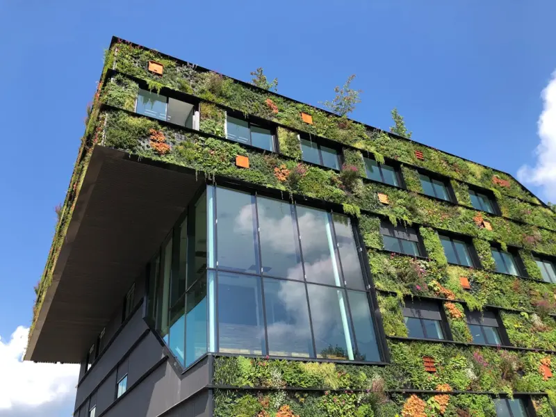 Beyond Green: Building Eco‑Conscious SaaS Products for the Future