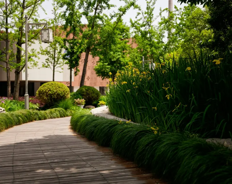 Bringing the Outdoors In: Biophilic Design Strategies for Tiny Urban Homes