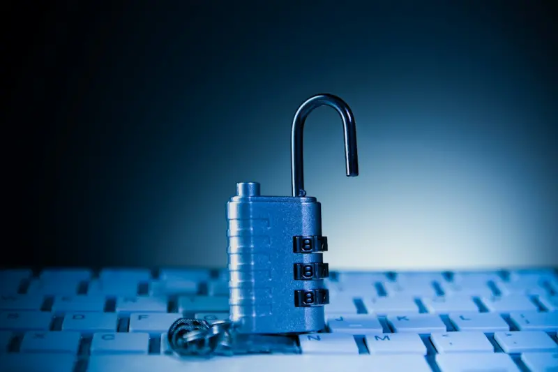 Invisible Armor: Mastering Online Safety for the Modern Remote Professional
