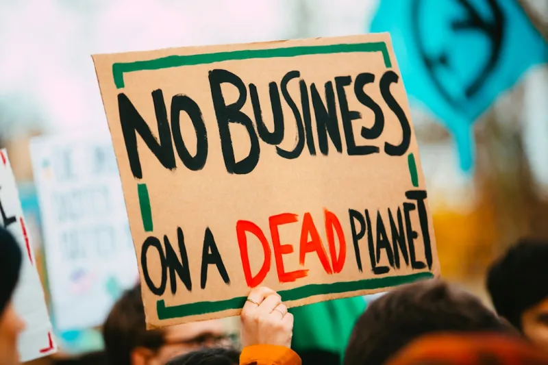 Sustainable Business Strategies That Drive Real Growth