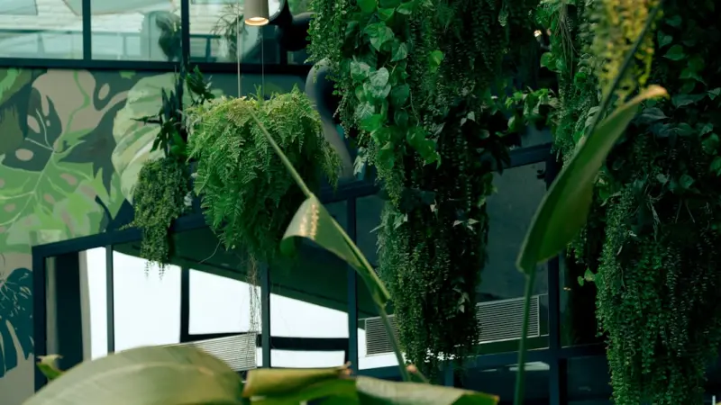 The Rise of Biophilic Interiors: How Nature Can Boost Your Work‑From‑Home Performance