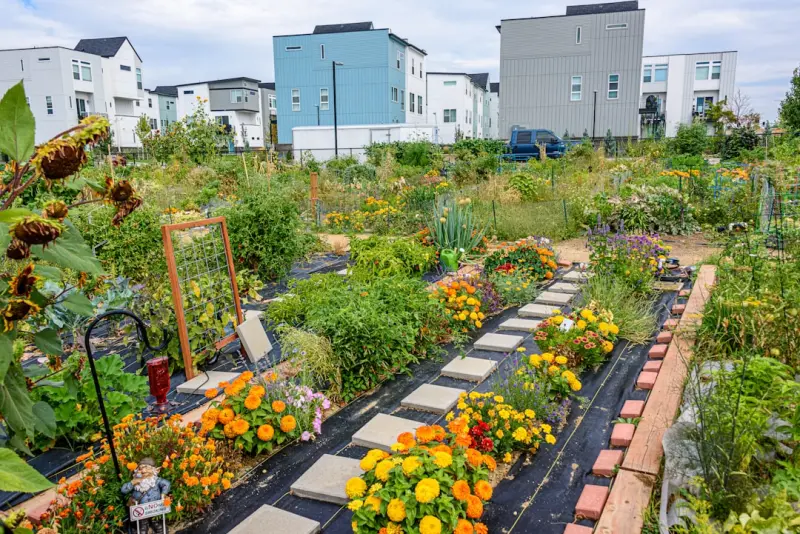 Cultivating Resilience: How Modern Gardens Thrive Amid Uncertainty
