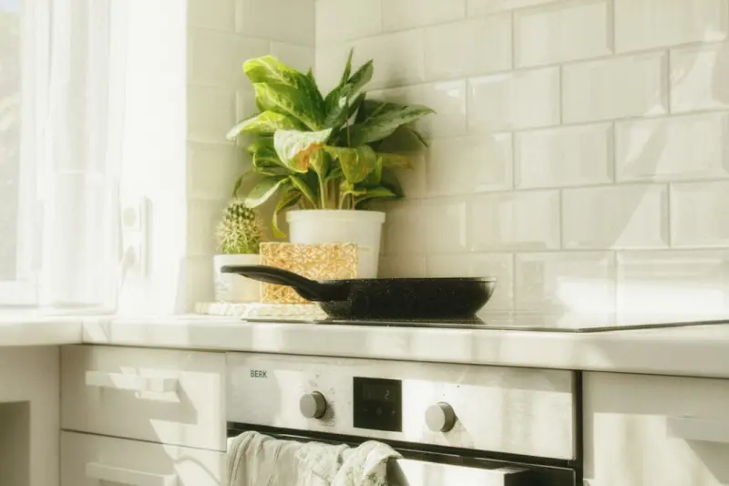 Enzyme‑Powered DIY Cleaners: Turning Kitchen Scraps into Green Magic