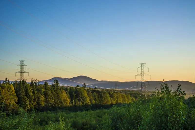 The Power of Networking in Sustainability: How Connections Can Create a Better Future