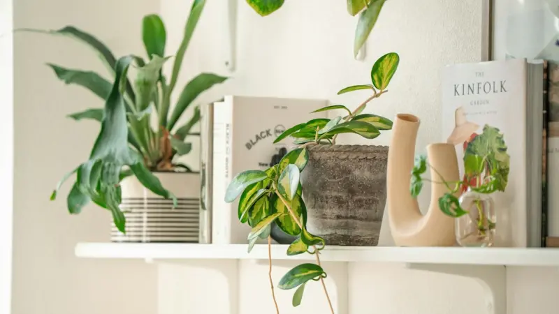 Creating a Home Sanctuary: 10 Unexpected Tips for Everyday Comfort