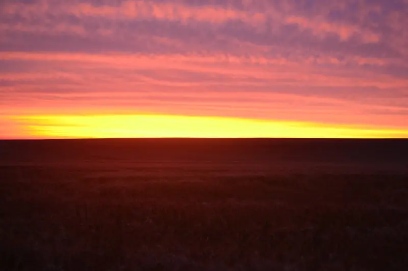 The Digital Sunset: A Night‑Time Ritual to Reclaim Family Sleep