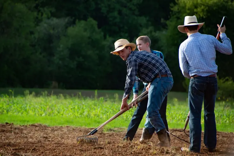 Cultivating Community‑First Learning: A Blueprint for Modern Education