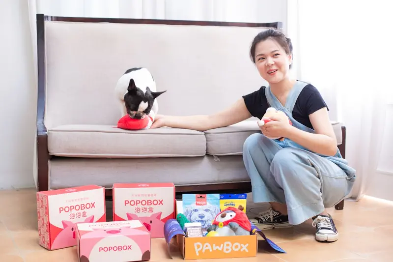Playful Subscriptions: Turning Toys into Data‑Driven Delight