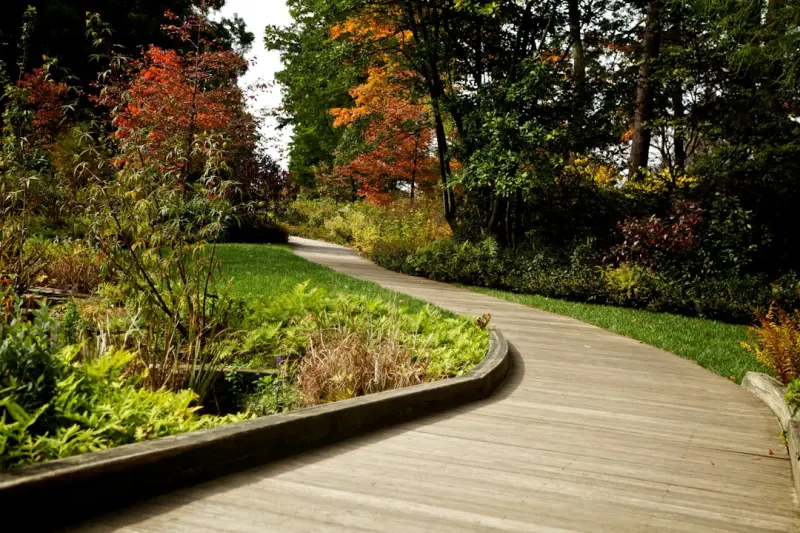 Designing a Sensory Garden: A Journey Toward Everyday Healing