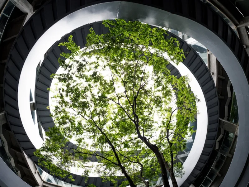 Google Search Goes Green: AI, Sustainability, and the Power of Your Queries