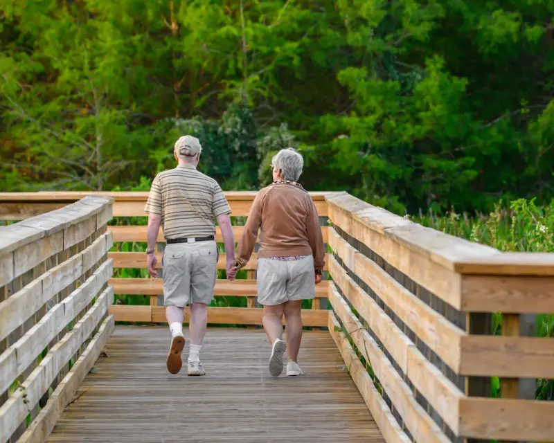 Beyond the Porch: How Seniors Are Shaping Digital Communities