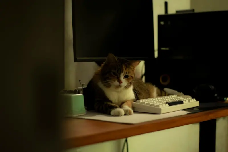Creating a Pet‑Friendly Home Office: Boost Productivity and Keep Your Furry Friend Happy