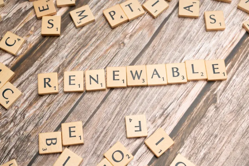 Sustainable Networking for SaaS