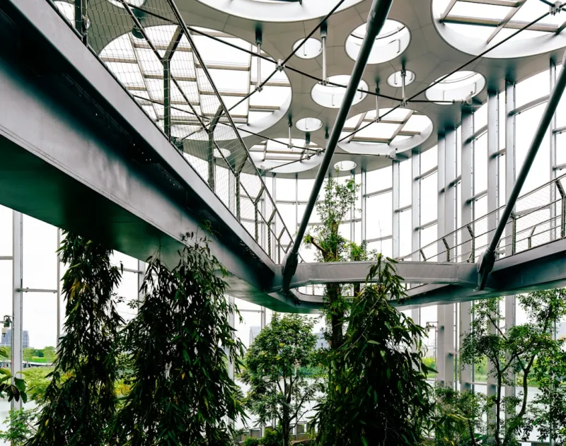 The Intersection of Interior Design and Sustainability: A New Era for Homes