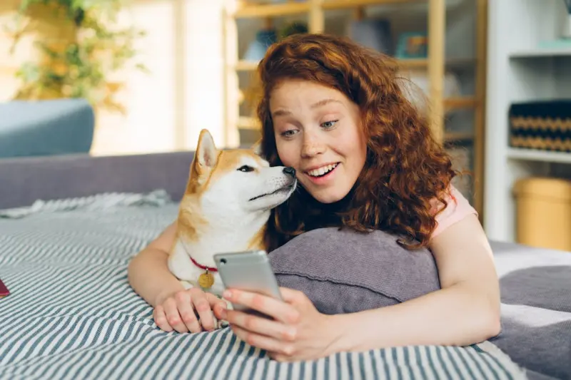 Why Your Pet Deserves a Digital Companion in the Age of Smart Homes