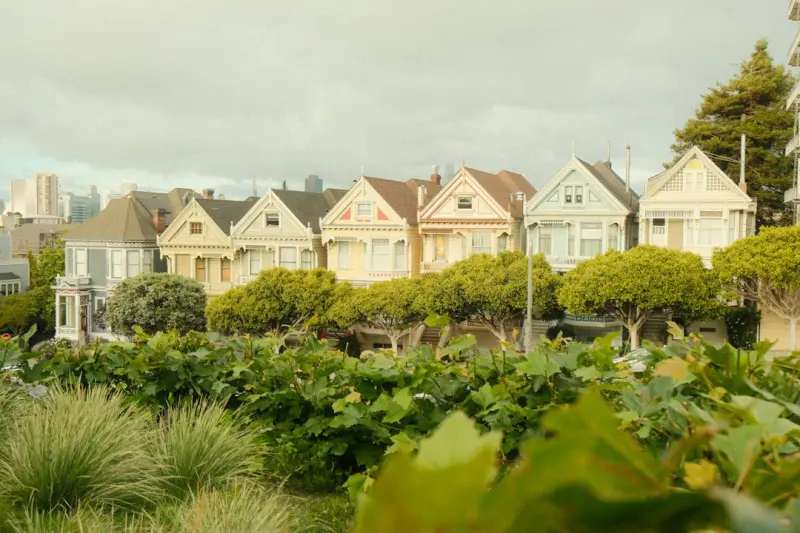 Hyper-Local Fermentation: Neighborhood Communities Redefine Flavor - Web Domain Authority