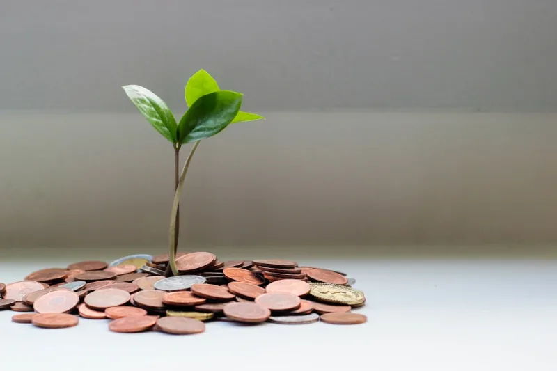How Sustainable Finance Is Redefining Personal Wealth