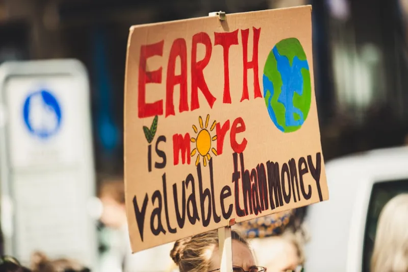 The Evolution of Sustainability in Education: A New Era for Environmental Stewardship