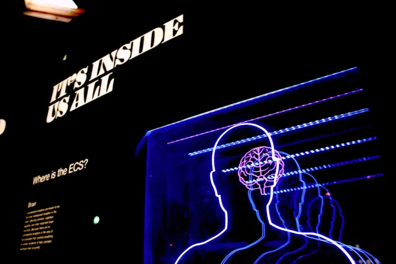 When the Internet Becomes Your Business’s Real‑Time Brain