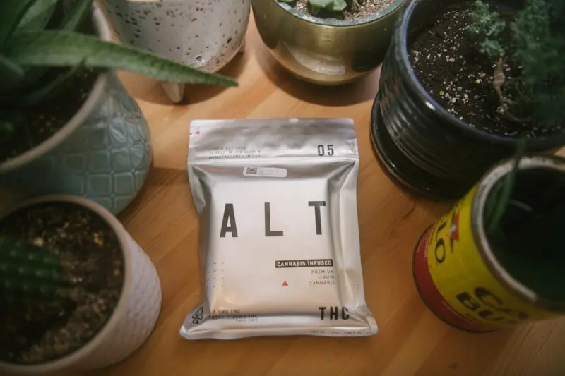 Microbial Allies: Why Probiotic Cleaners Are the Next Big Thing in Eco‑Cleaning
