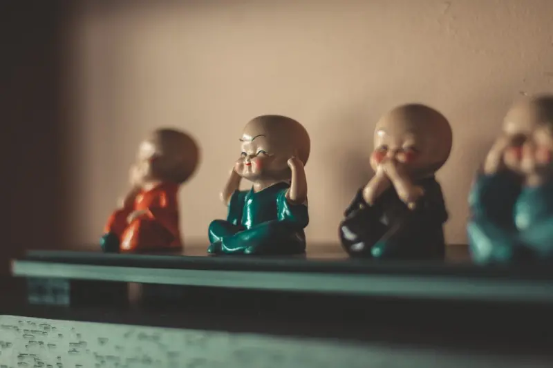 Collectible Toys: The Unexpected Wellness Ritual for Grown‑Ups
