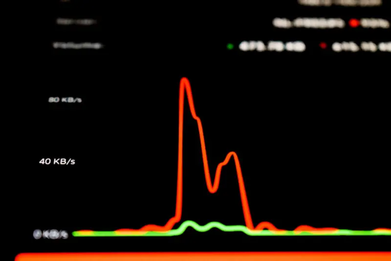 The Hidden Power of Your Daily Rhythm Over Gym Hours
