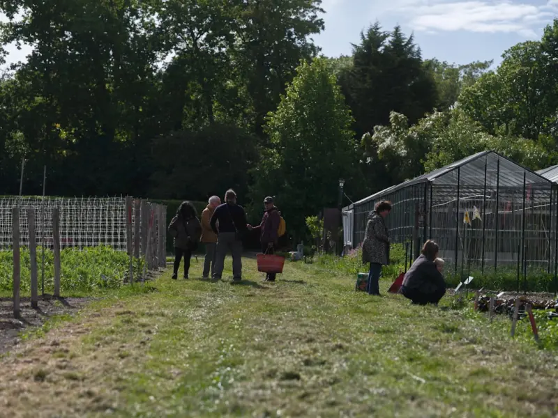 Cultivating a Narrative Garden: How Storytelling Transforms Your Green Space