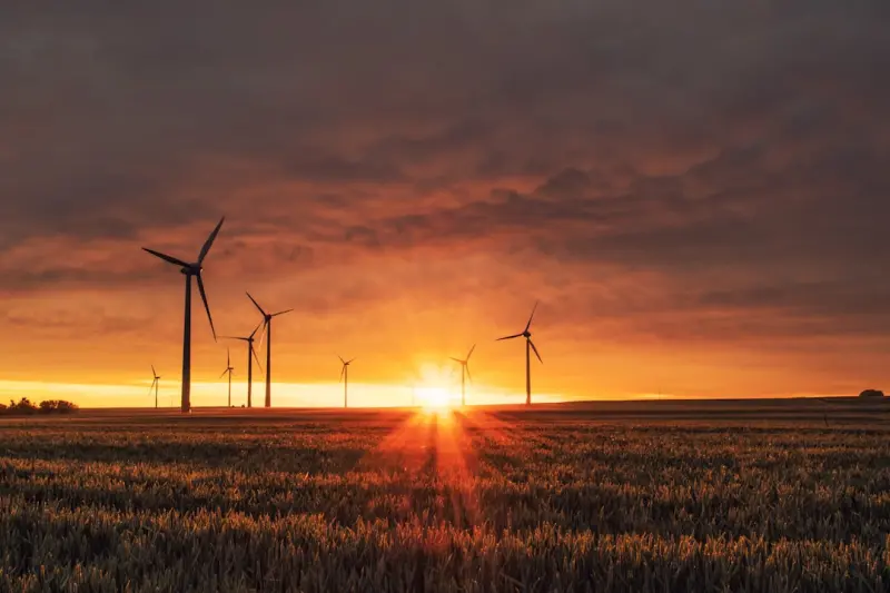 Powering SaaS: How Energy‑Smart Architecture Fuels Sustainable Growth