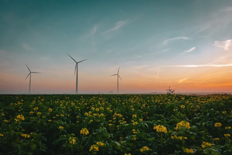 Invisible Impact: The Eco‑Friendly Shifts Transforming Office Culture