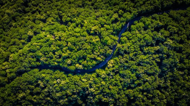 The Green Frontier: How Sustainable Computing Is Redefining SaaS Success