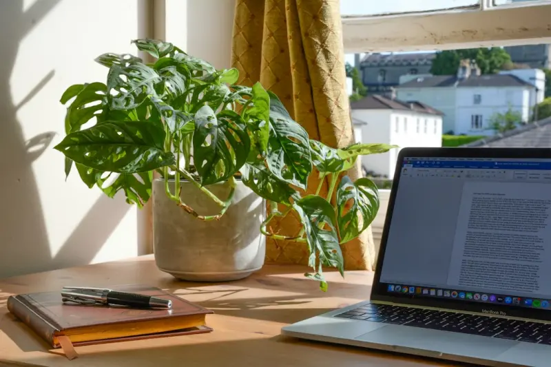 Turn Your Home Into a Productivity Oasis