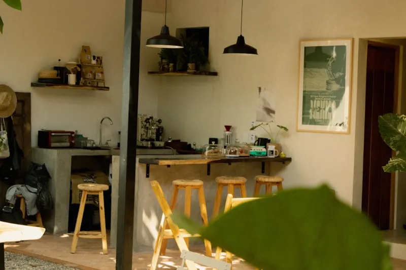 Embracing Sustainable Living: Transforming Your Home into an Eco-Friendly Haven