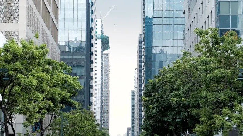 Turning City Streets into a Green Pantry