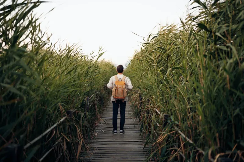 Embracing Sustainability in Your Career: A Path to Personal and Professional Growth