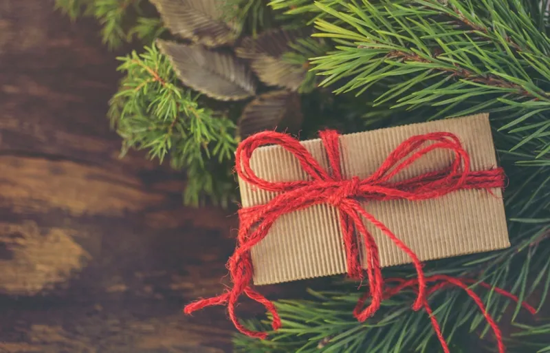 The Gift of Green: How Sustainable Presents Are Redefining Celebration
