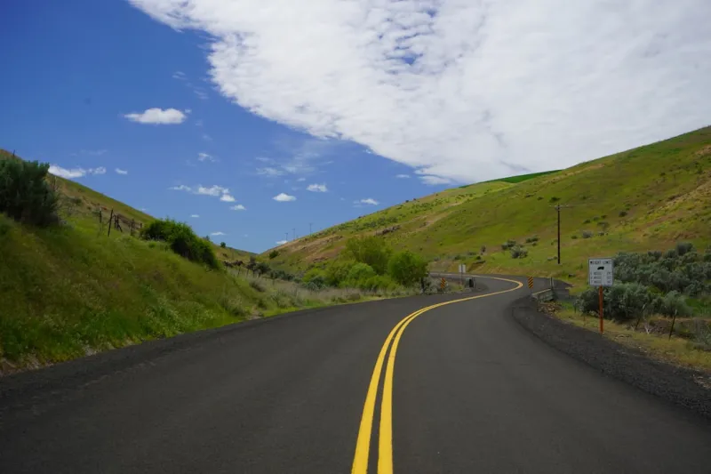Staying Ahead of the Curve: The Future of Search Engine Marketing