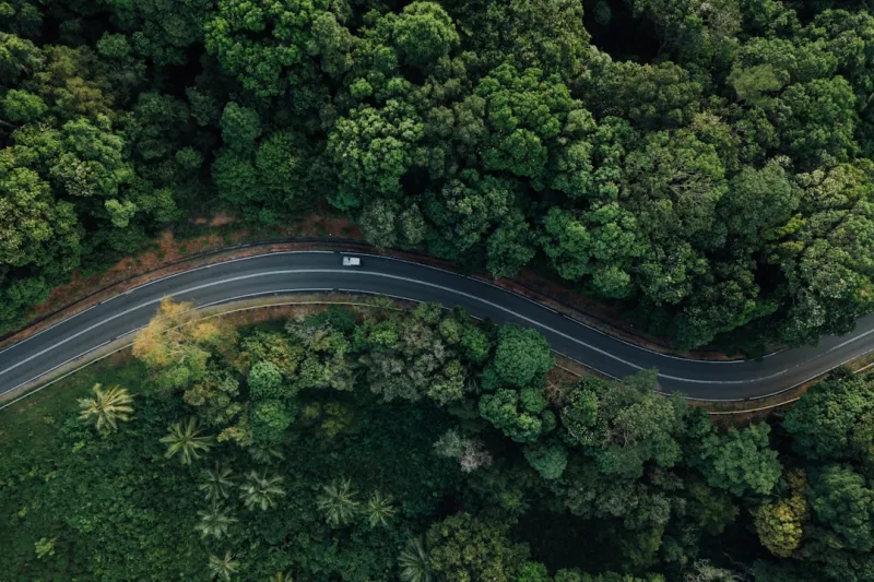 The Green Shift: How Automotive Innovation Is Driving a Sustainable Future