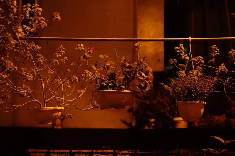 When the Sun Sets: Crafting a Nighttime Garden That Awakens All Five Senses
