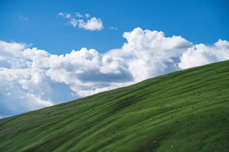 Green Clouds: How Sustainable Practices Are Redefining Enterprise Tech - Web Domain Authority