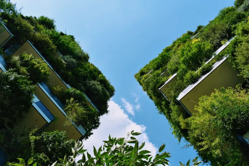 Building a Sustainable Network: How Eco-Friendly Practices Can Revolutionize Your Professional Relationships