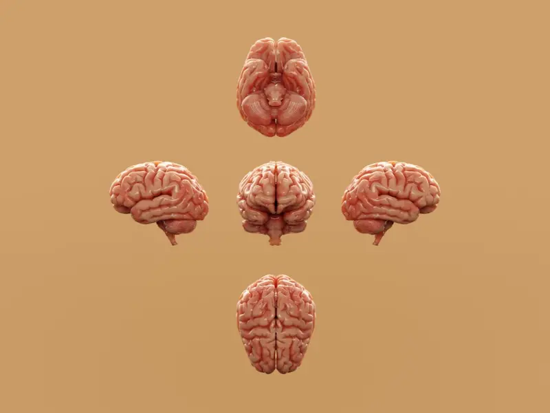 Designing for Neurodiversity: A Human‑First Web Experience