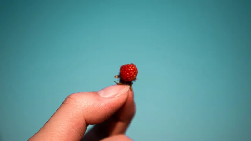The Secret Life of Micro‑Interactions: How Tiny Touchpoints Shape SaaS Brand Loyalty