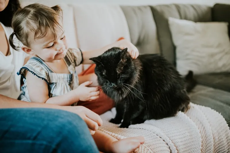 Sustainable Pet Parenting: Simple Swaps for a Greener Life