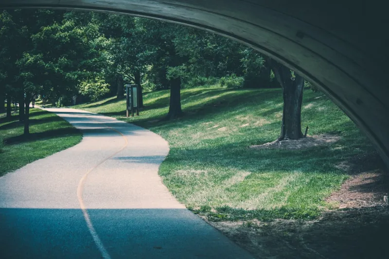 Rethinking Insurance: A Sustainable Path to Real Protection
