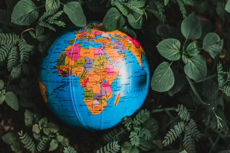 Learning Ecosystems: Turning Real‑World Challenges into Classroom Engines
