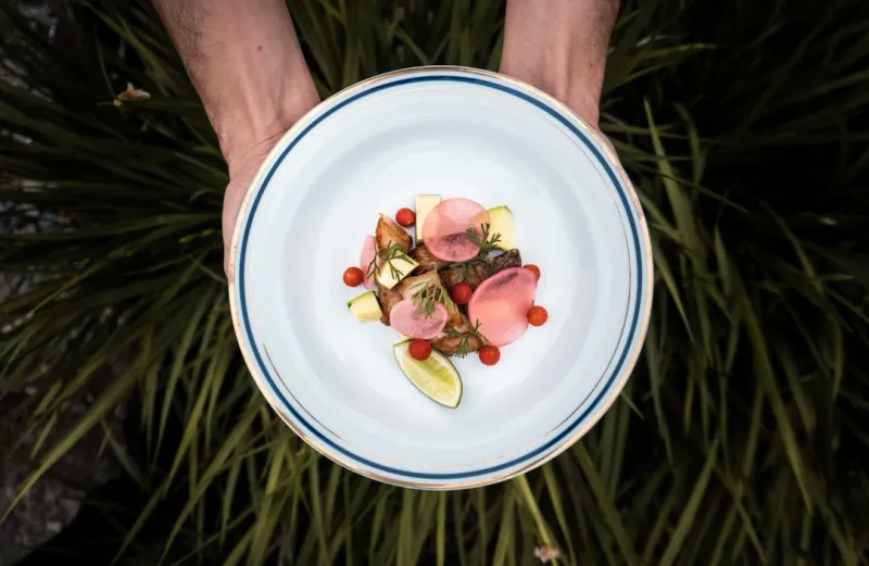 Plant‑Powered Plates: How Sustainable Flavors Are Redefining Our Kitchens