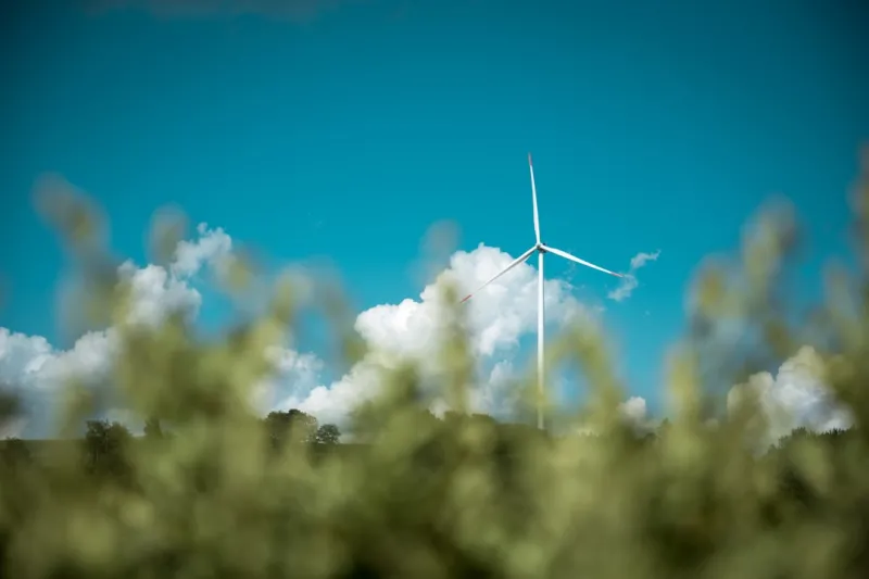 The Evolution of Sustainable Living: A Guide to a Greener Future