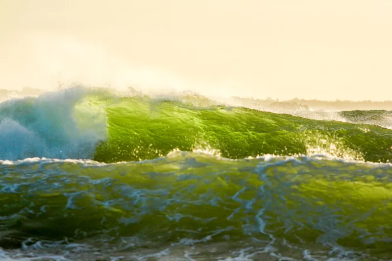 Designing for Purpose: The New Wave of Sustainable Web Experiences