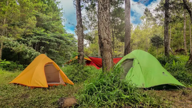 The Trail‑Boardroom: Using Unplugged Hikes to Supercharge Workplace Creativity