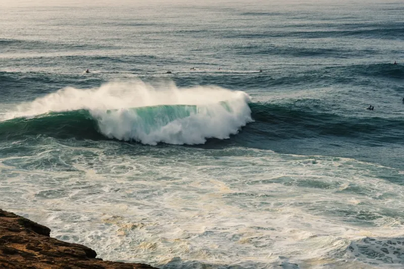 Why Sustainable Blogging Is the Next Big Wave for Creators